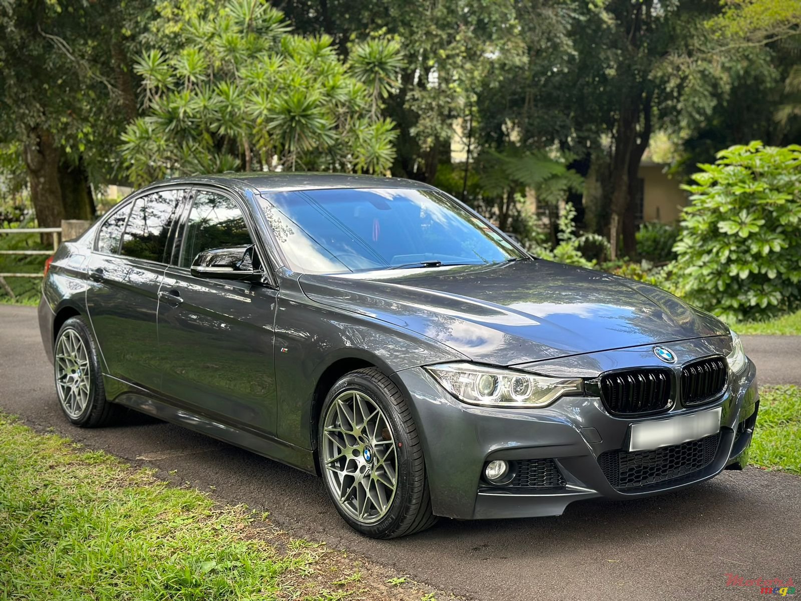 2014' BMW 316i M Sport photo #2