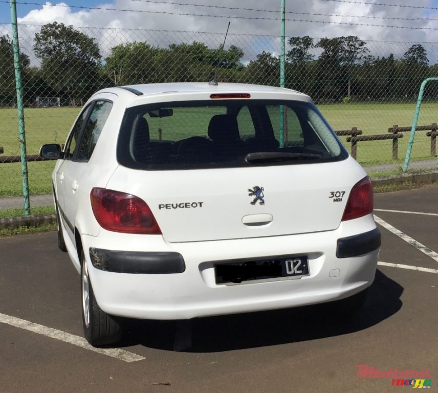 2002' Peugeot 307 photo #4