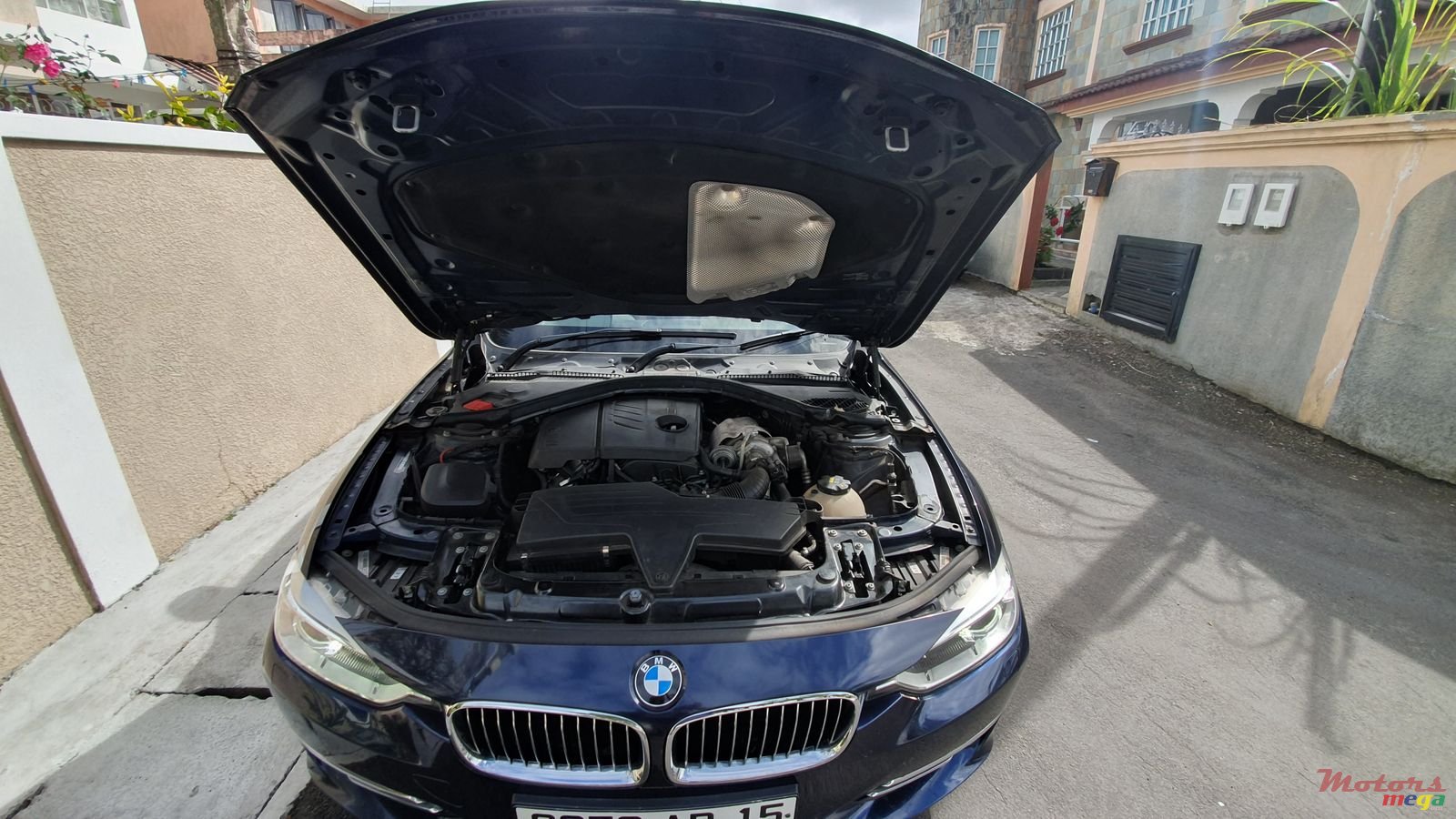 2015' BMW 3 Series 316i photo #4