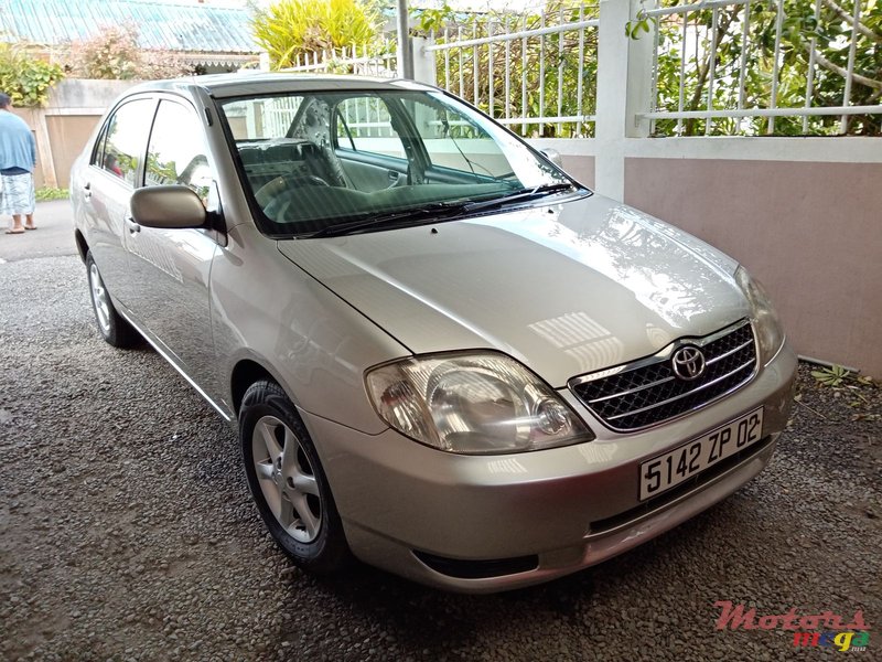 2002' Toyota Corolla photo #1