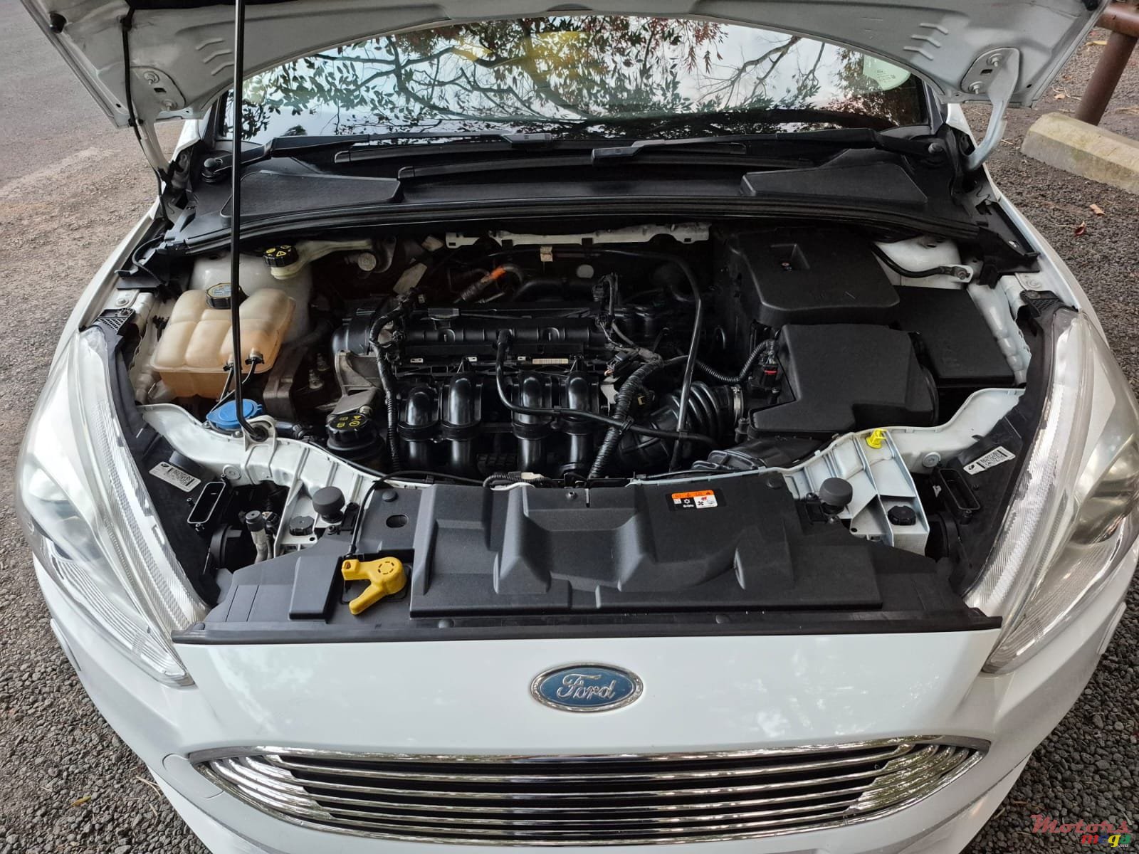 2017' Ford Focus Titanium photo #2