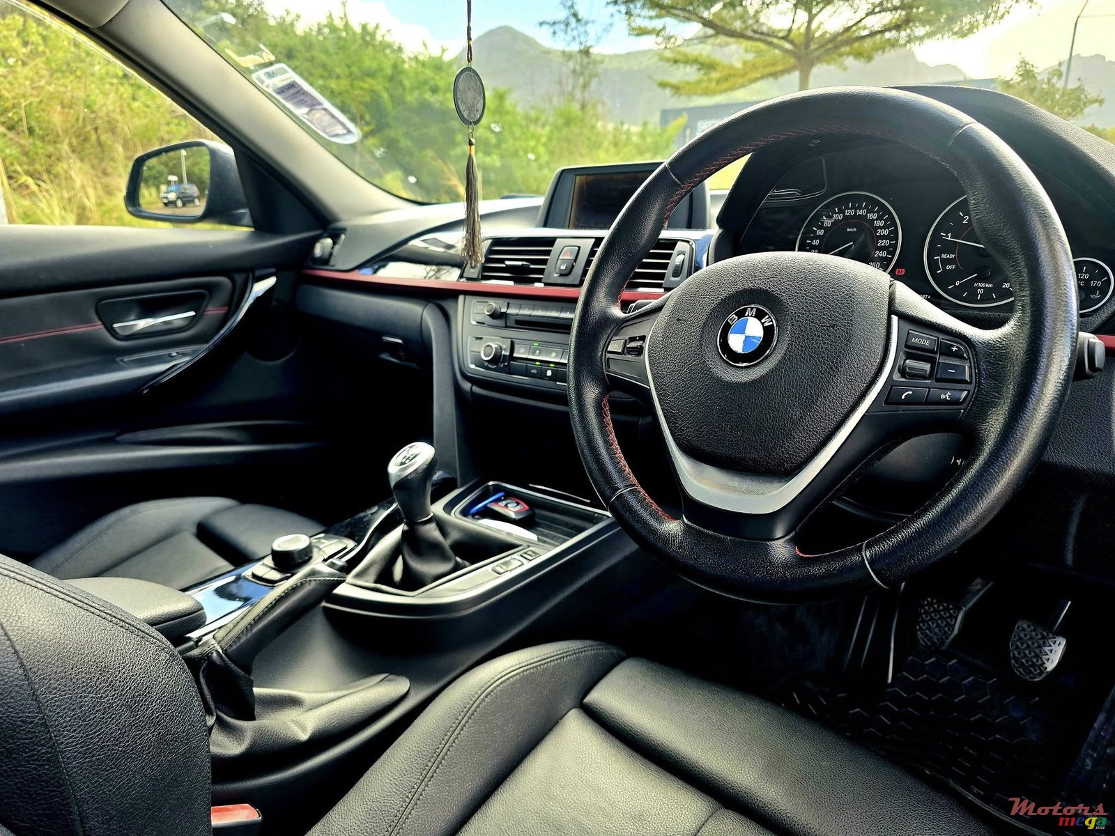 2013' BMW 316 photo #7