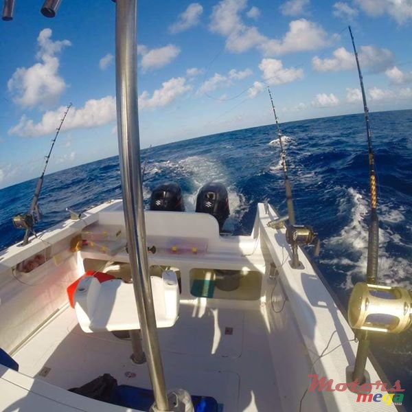 2014' Aquamarine photo #4