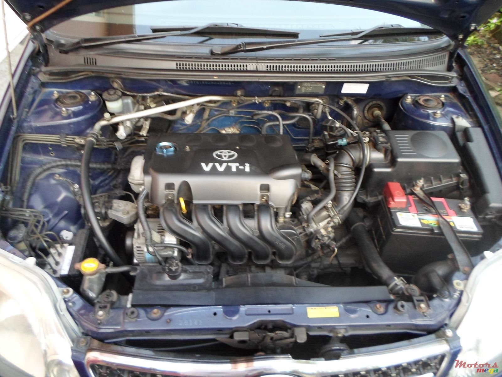 2001' Toyota Corolla photo #4