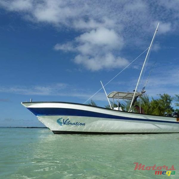 2014' Aquamarine photo #1