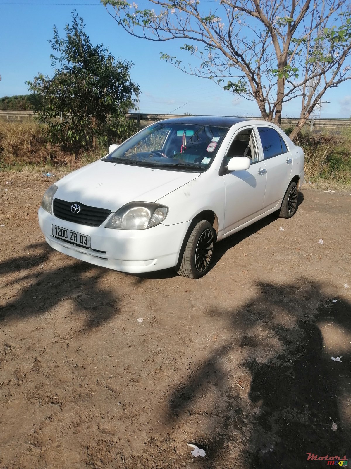 2003' Toyota Corolla NZE photo #5