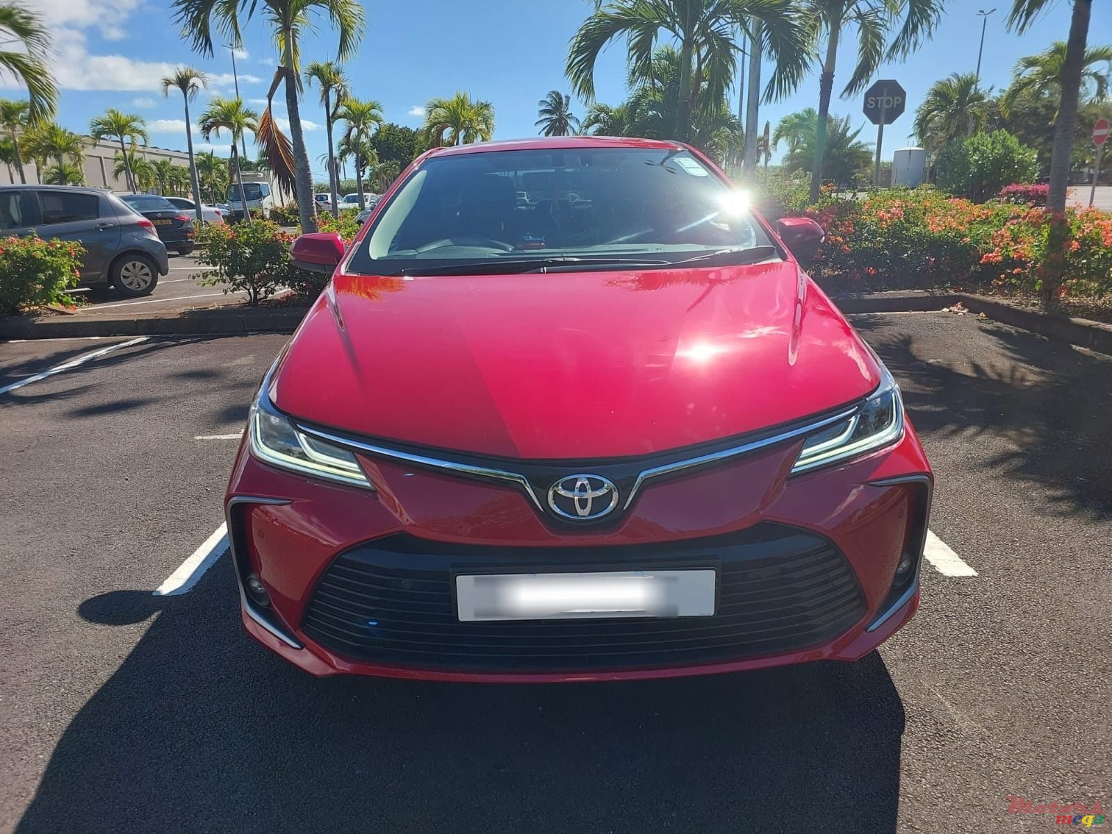2020' Toyota Corolla photo #1
