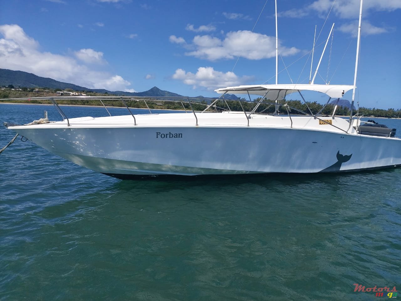 2008' Arrow photo #3