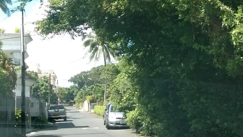 Road Accident Hazard — Ces haies mal entretenues qui gênent la visibilité des usagers de la route