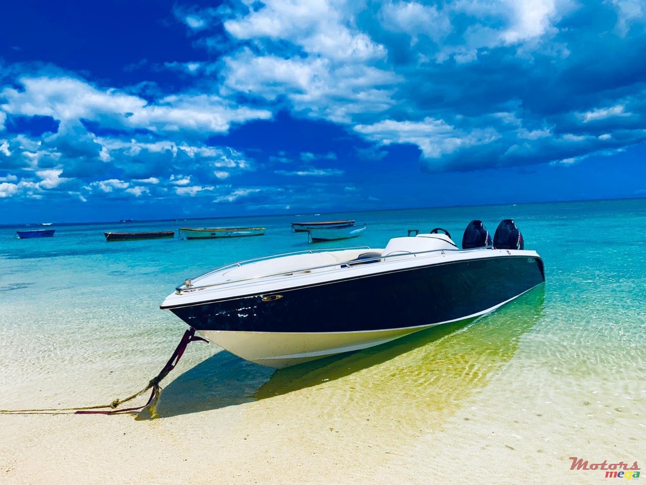 2020' Cobra photo #1