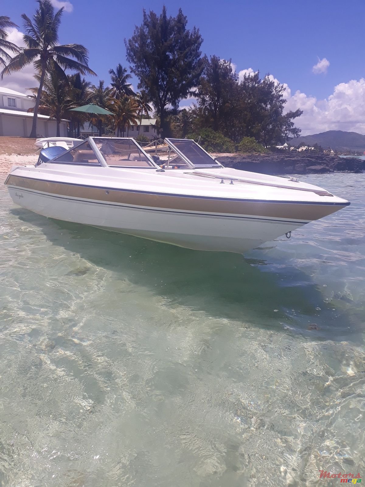 1991' Picton 18.9ft photo #3