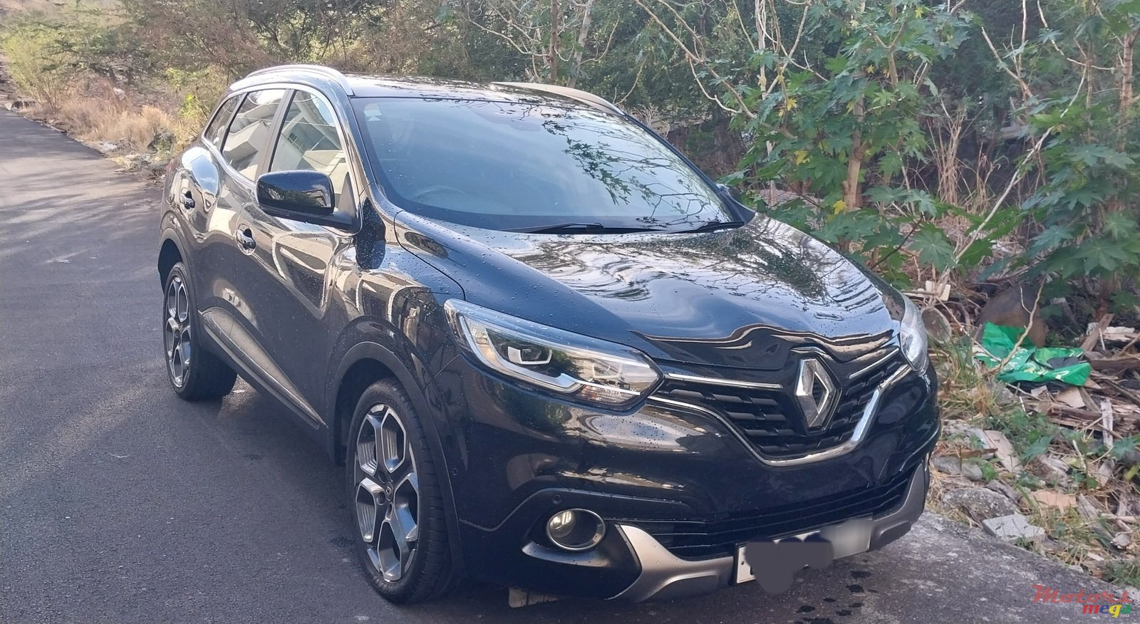 2016' Renault Kadjar photo #7