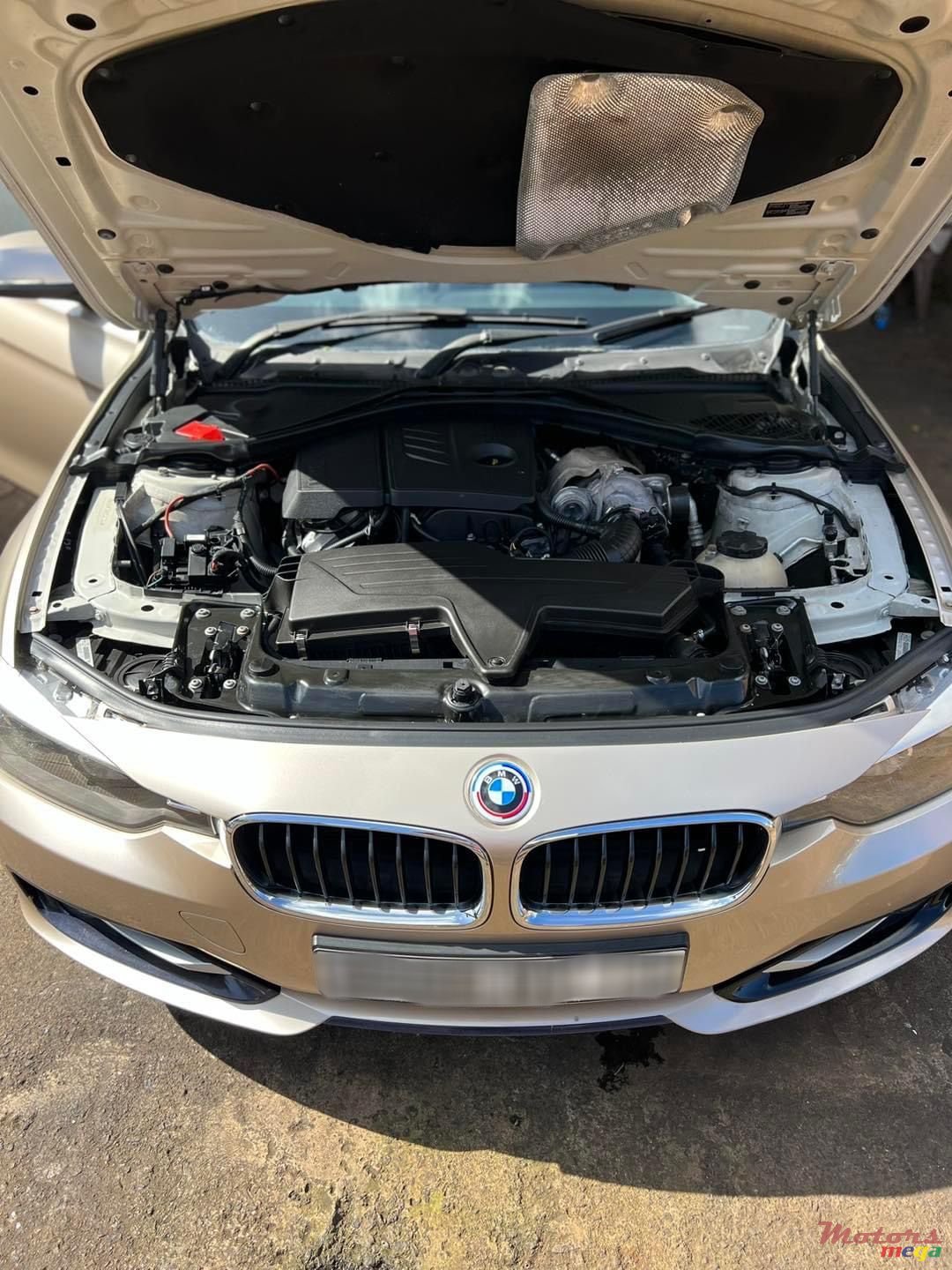 2014' BMW 316 photo #1