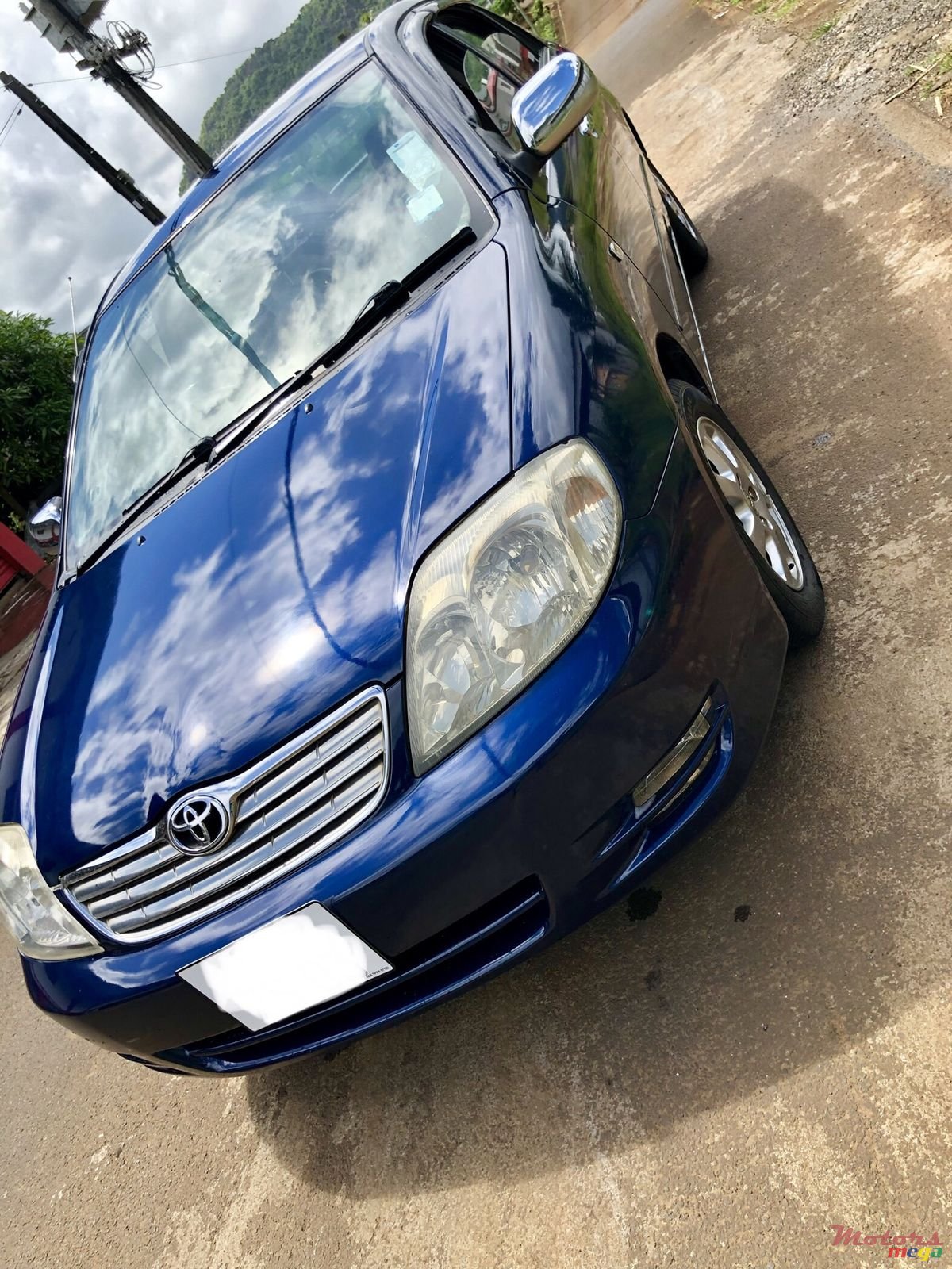 2003' Toyota Corolla photo #3