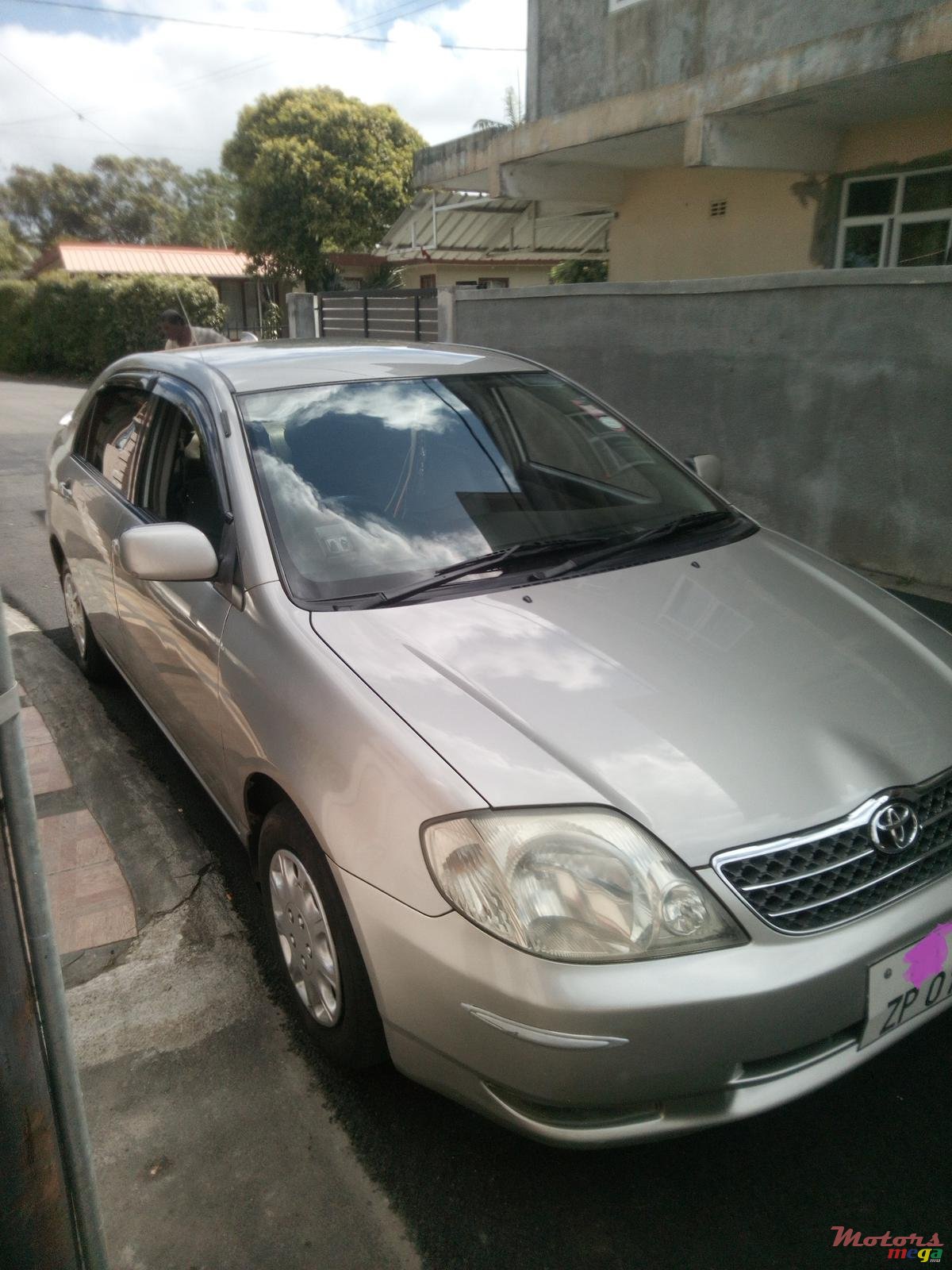 2001' Toyota Corolla photo #1