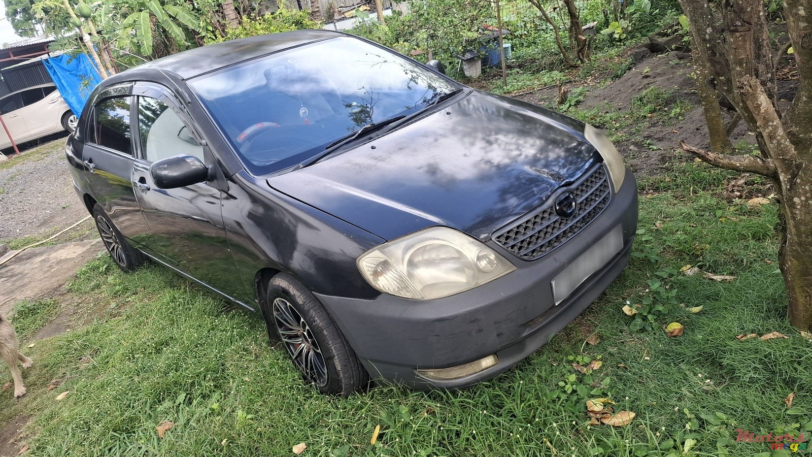 2001' Toyota Corolla photo #1