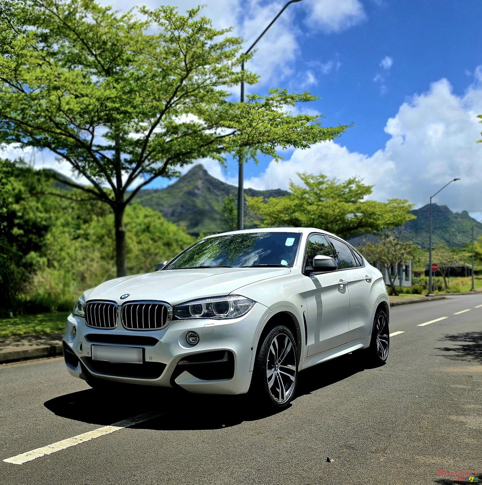 2019' BMW X6 photo #1
