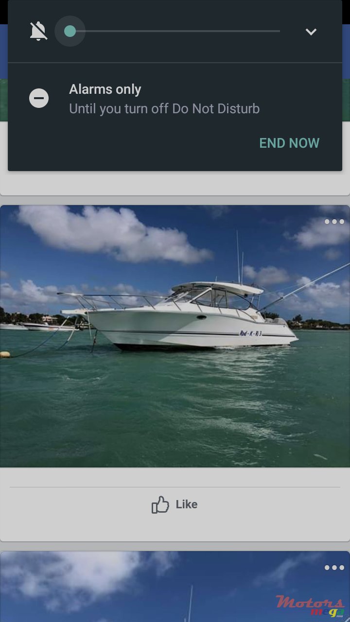 2014' Legend photo #3