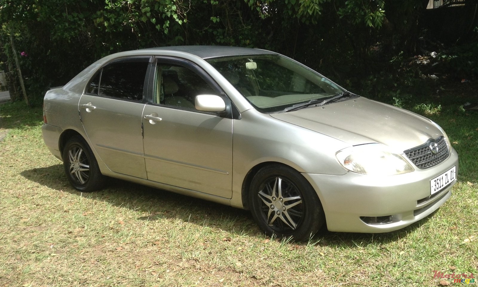 2002' Toyota Corolla photo #2