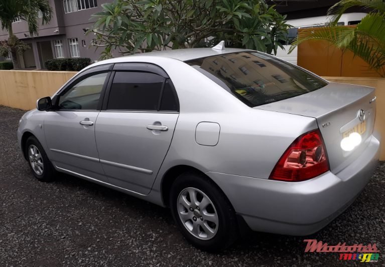 2007' Toyota Corolla photo #1