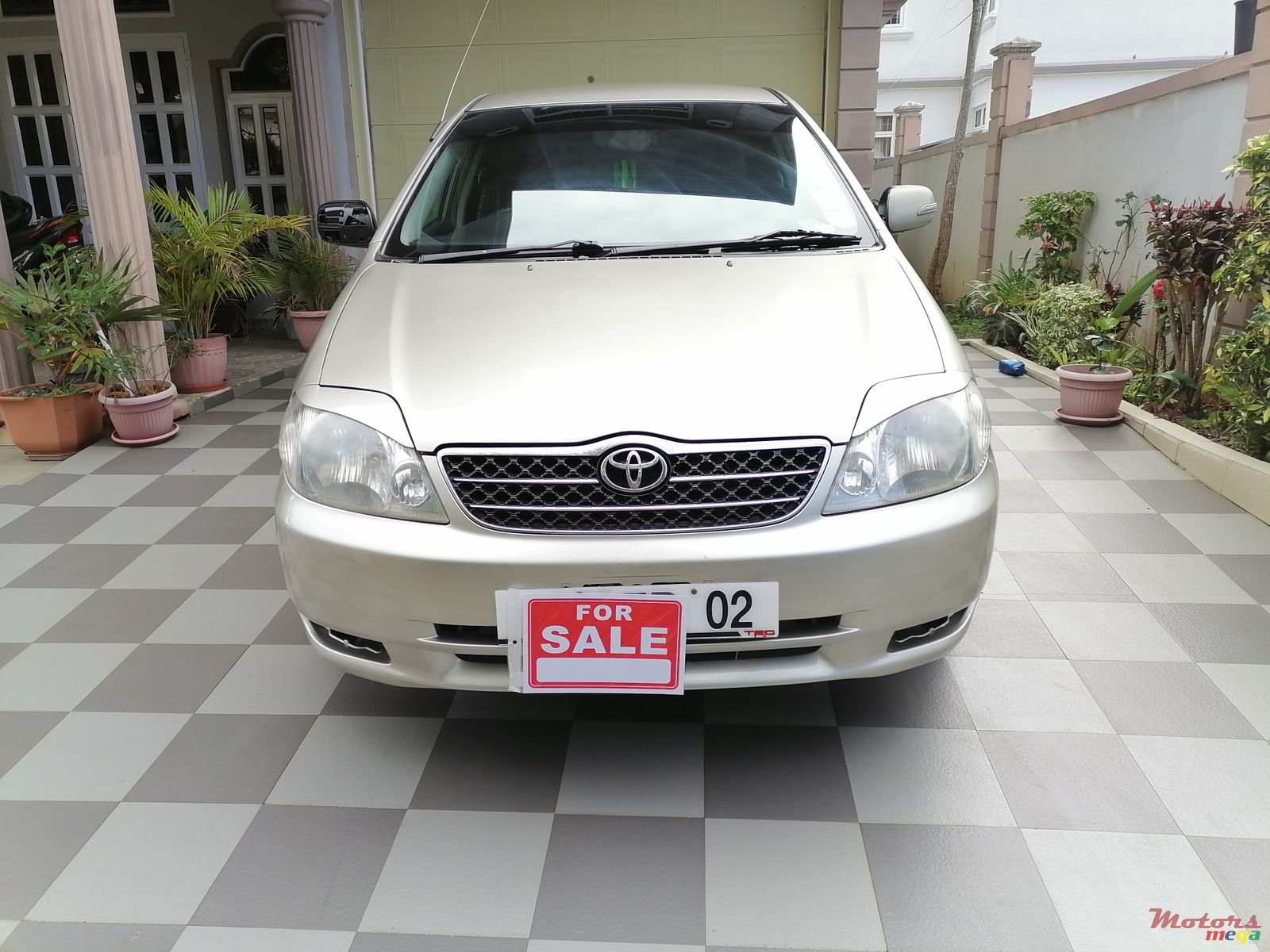 2002' Toyota Corolla photo #3