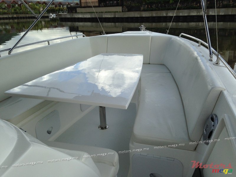 2013'  Cheeta 30" photo #6