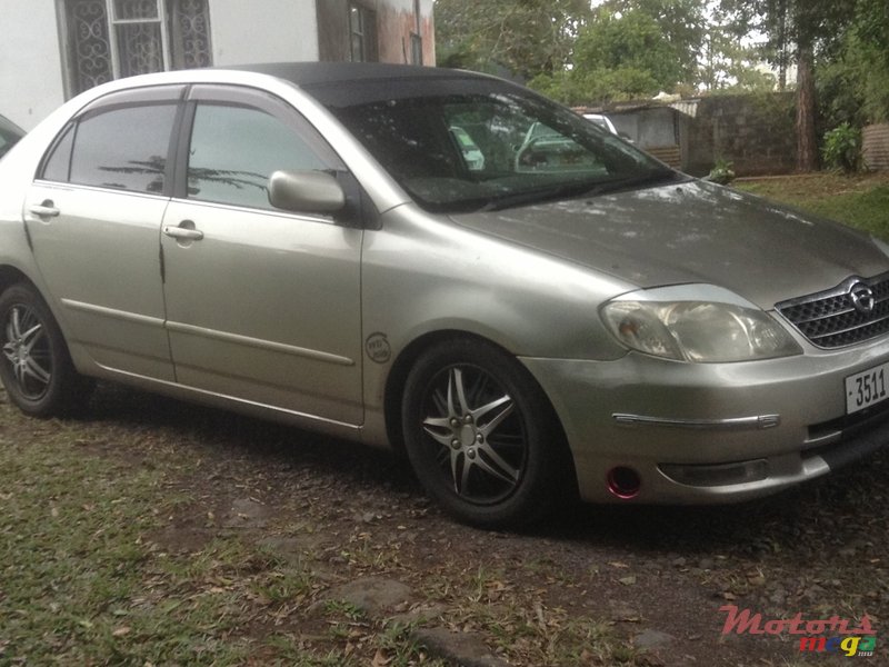 2001' Toyota Corolla G photo #2