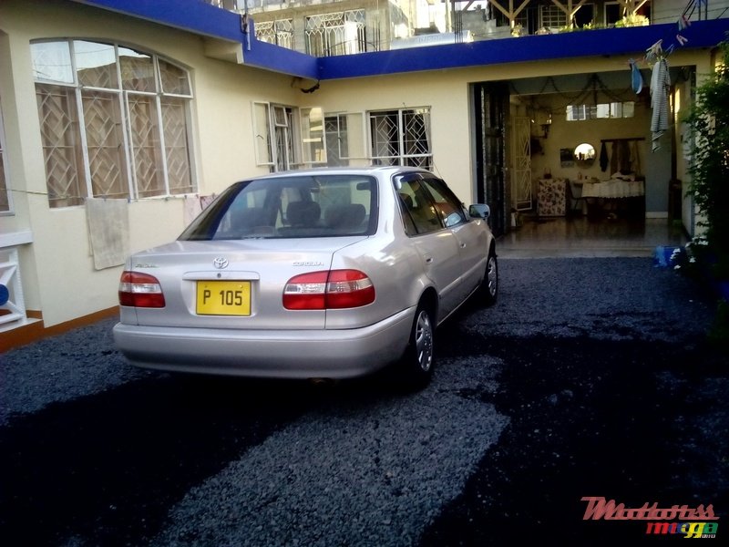 1999' Toyota Corolla photo #4