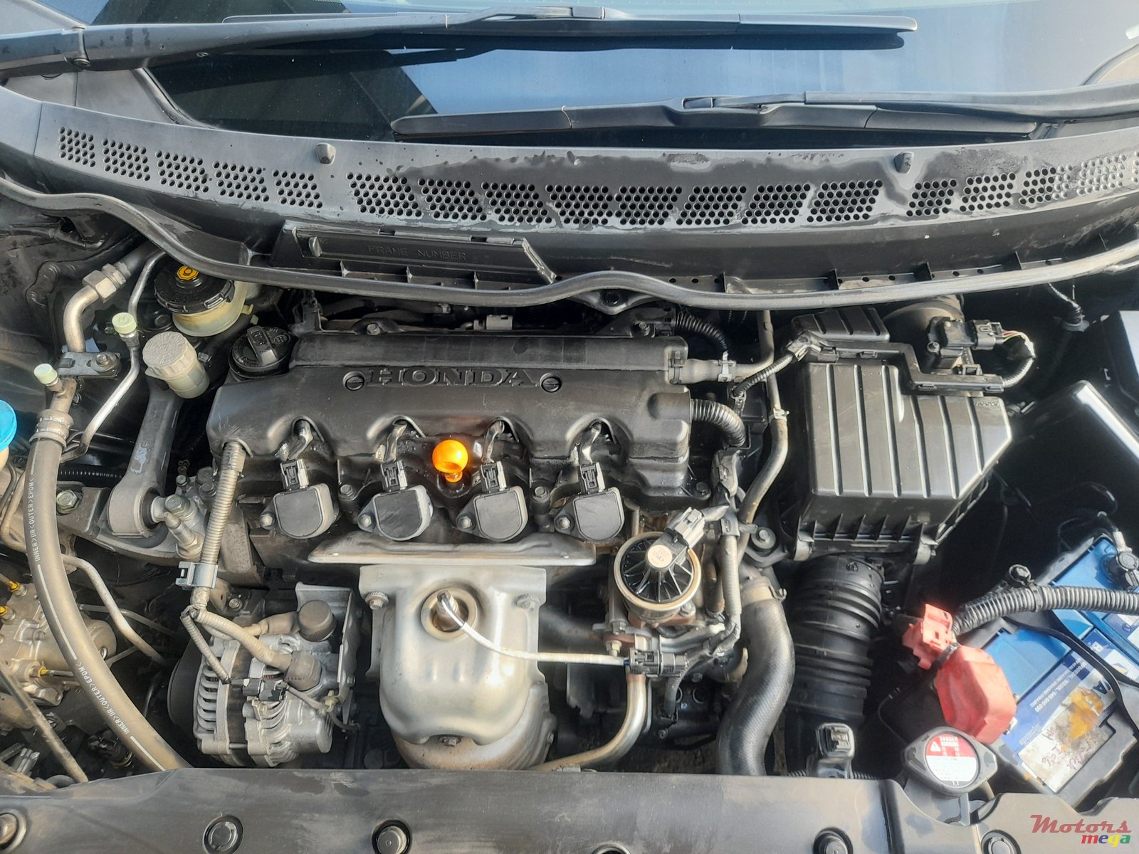 2008' Honda Civic photo #7