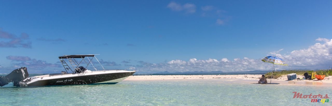 2015' Cobra photo #3