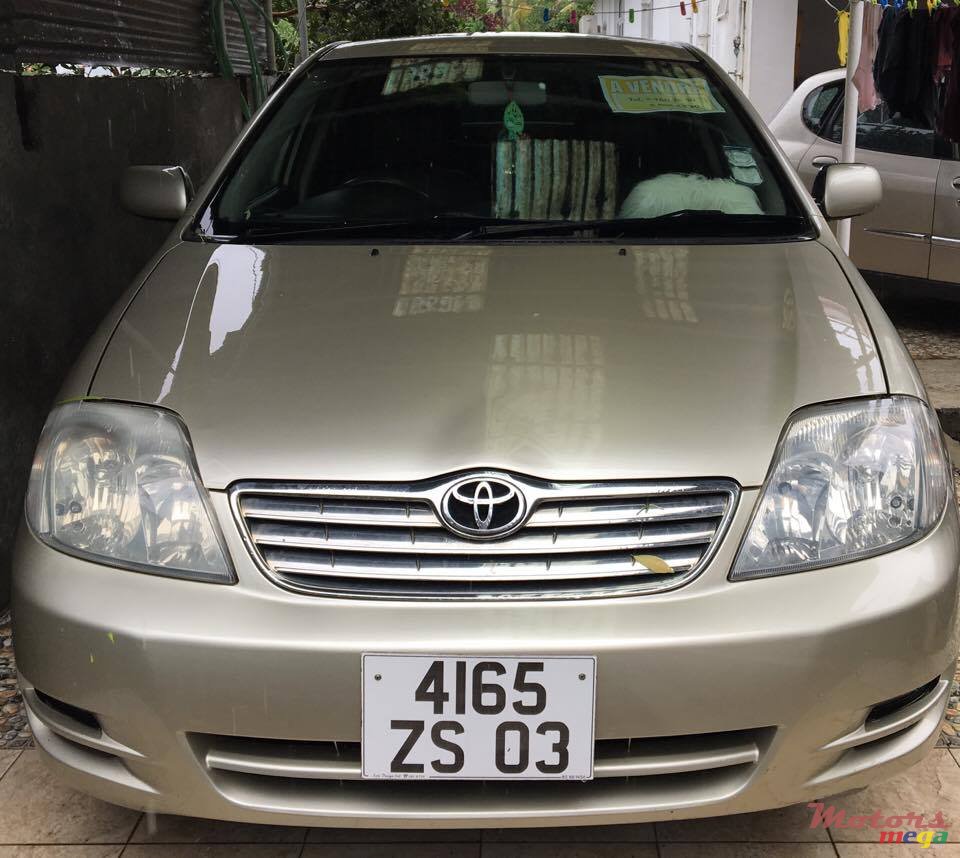 2003' Toyota Corolla photo #3