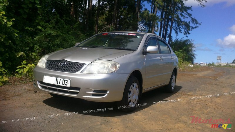 2003' Toyota Corolla NZE photo #1