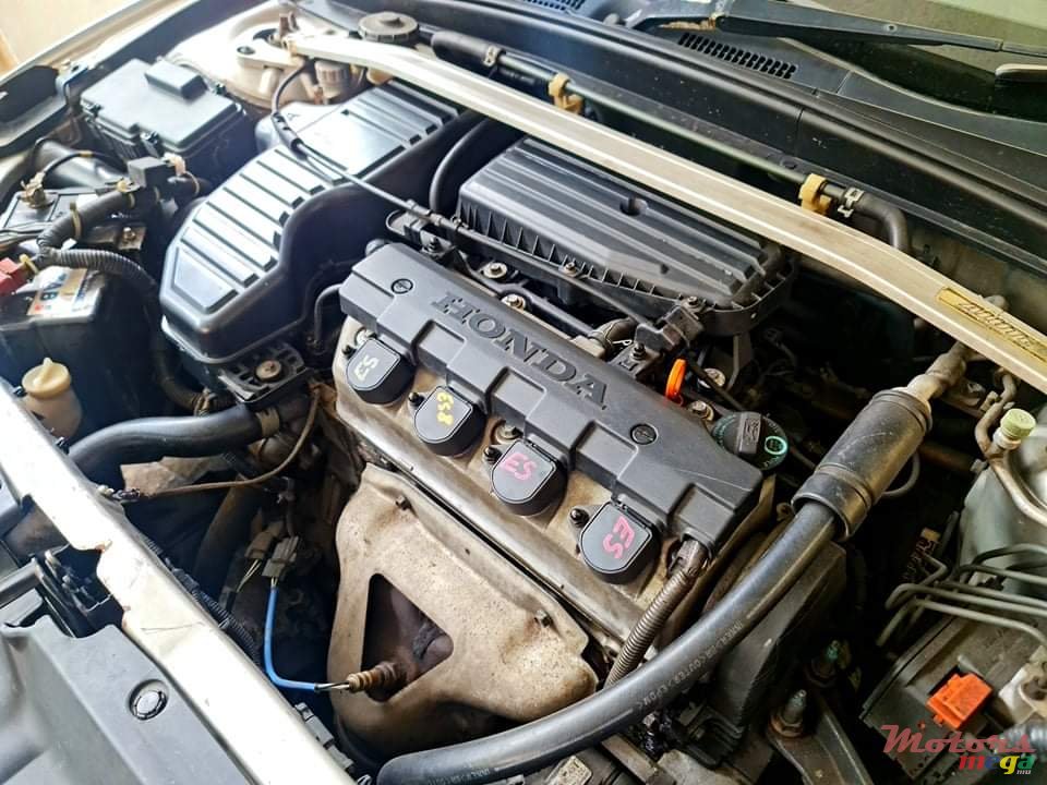 2004' Honda Civic photo #2