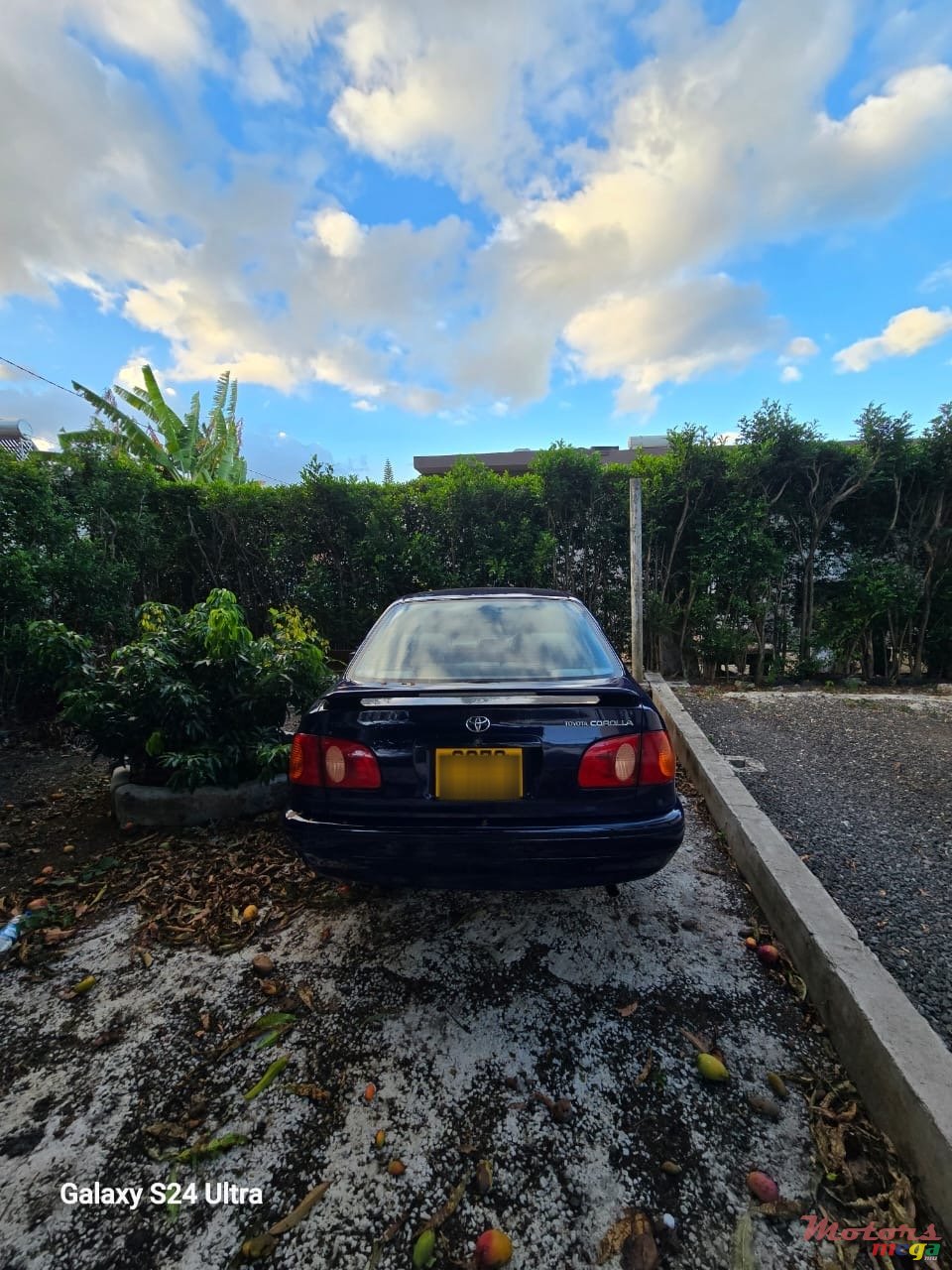 1998' Toyota Corolla photo #3