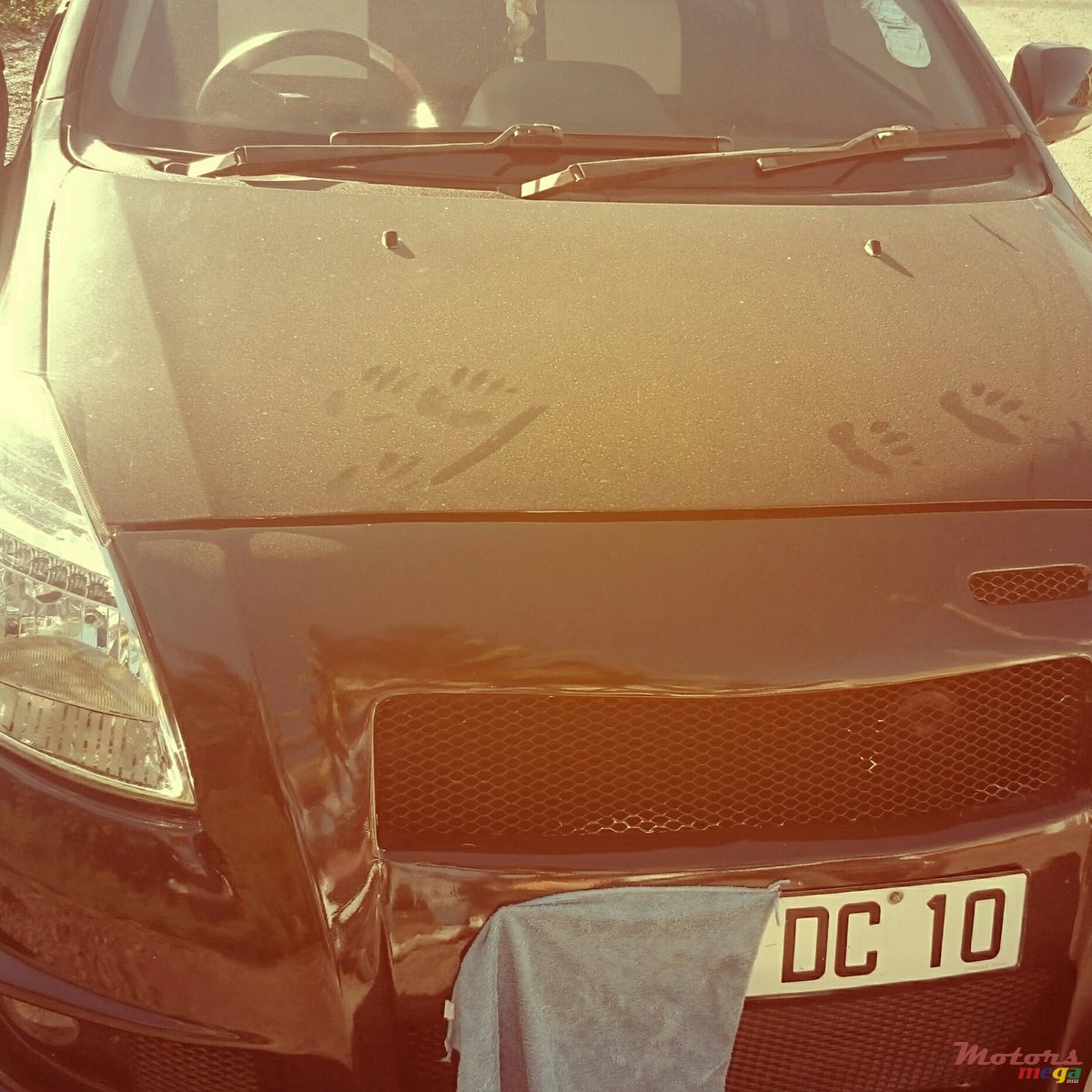 2010' GWM Florid photo #1