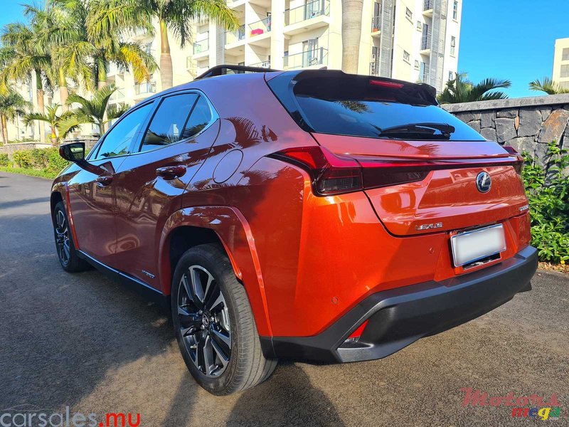 2021' Lexus UX 250h AWD photo #4