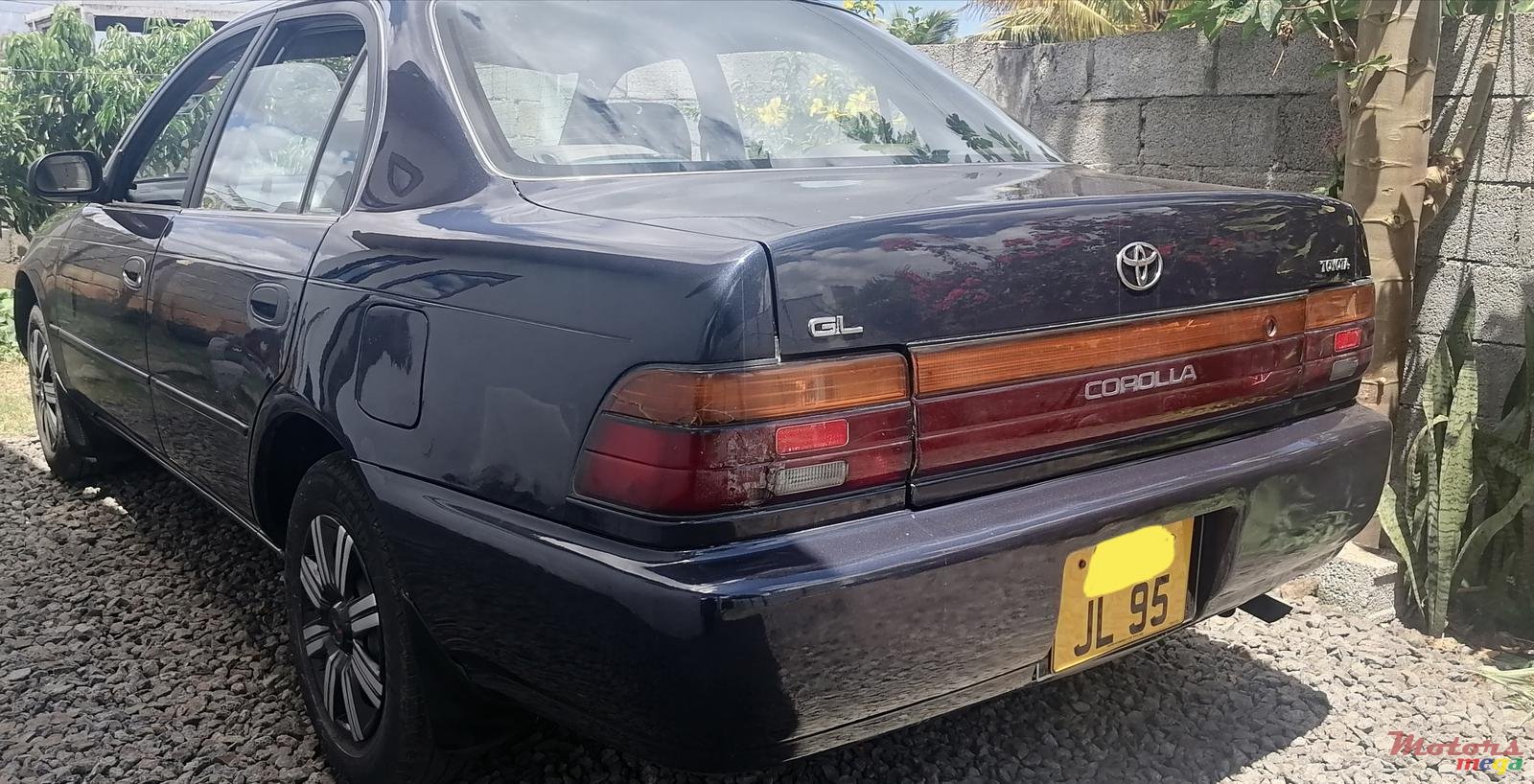 1995' Toyota Corolla photo #1