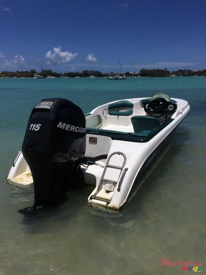 2009' Cobra photo #1