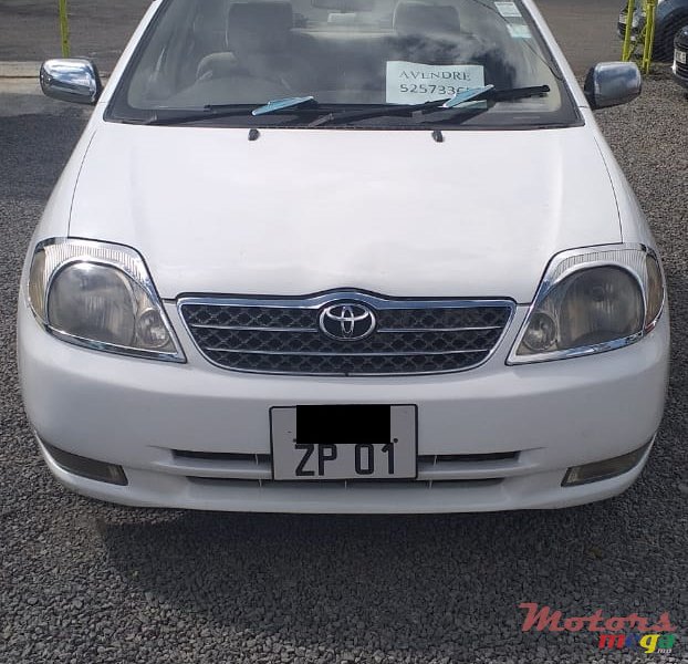 2001' Toyota Corolla NZE photo #4