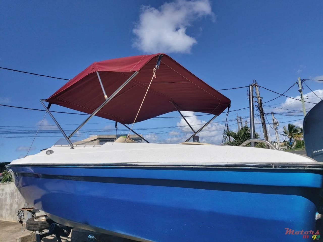 2008' Cobra photo #4