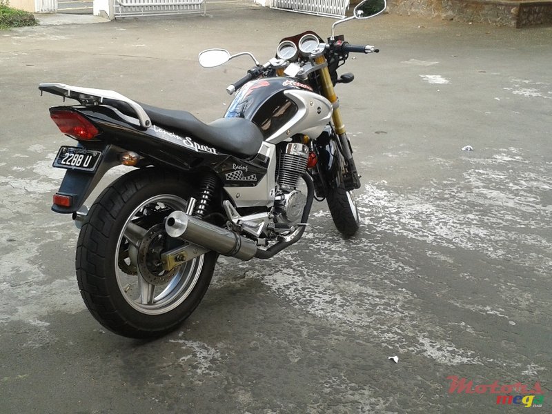 2009' Loncin JL250-A photo #2