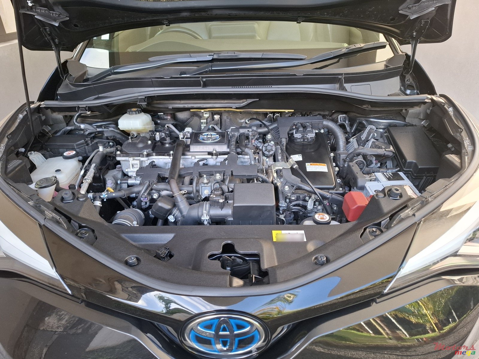 2020' Toyota C-HR G 1.8 photo #5