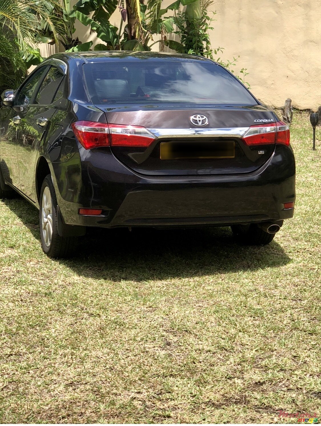 2018' Toyota Corolla photo #2