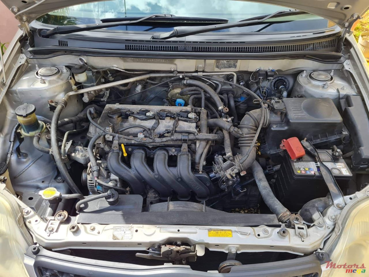 2004' Toyota Corolla photo #6