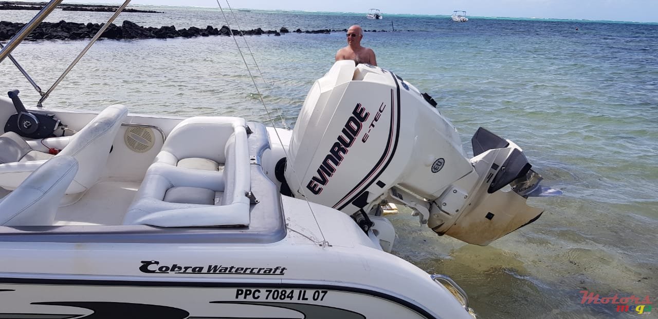 2008' Cobra photo #6