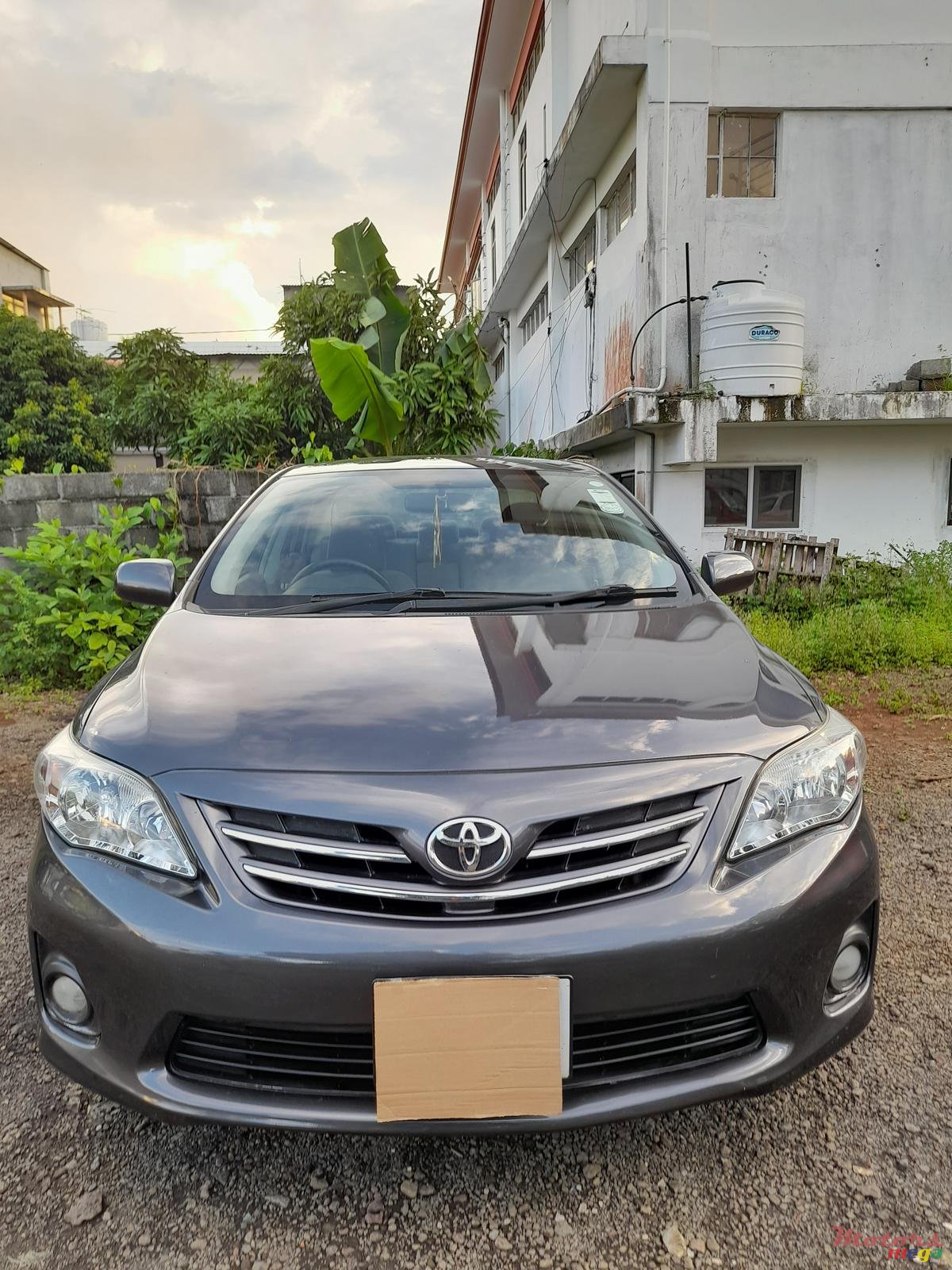 2014' Toyota Corolla photo #4