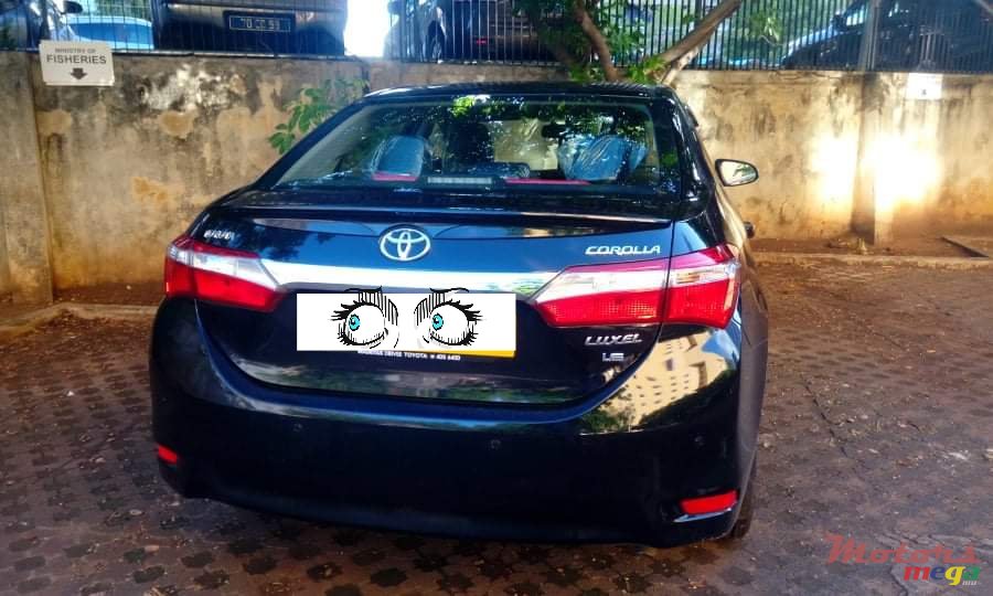 2017' Toyota Corolla photo #4