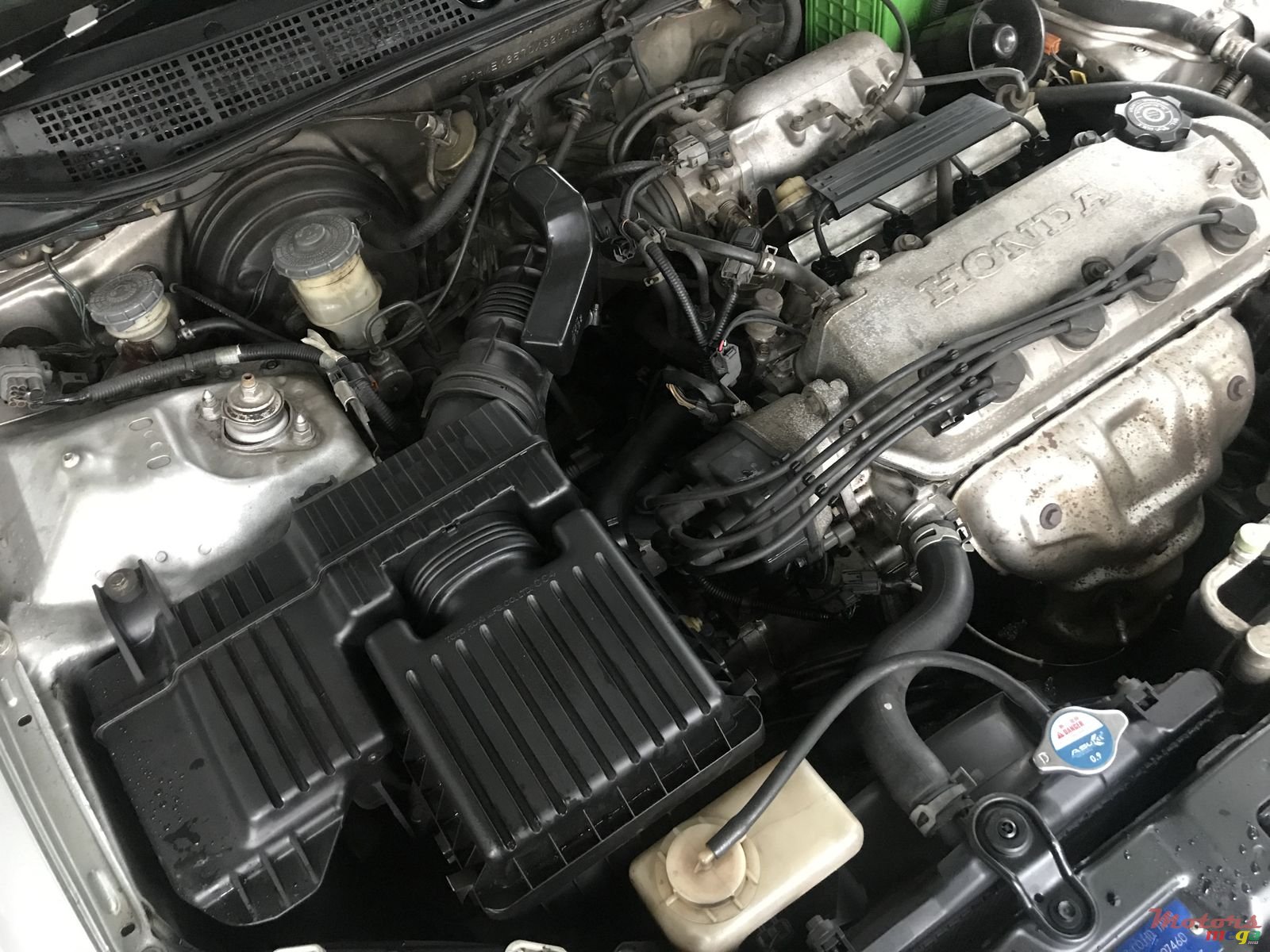 1999' Honda Civic photo #4