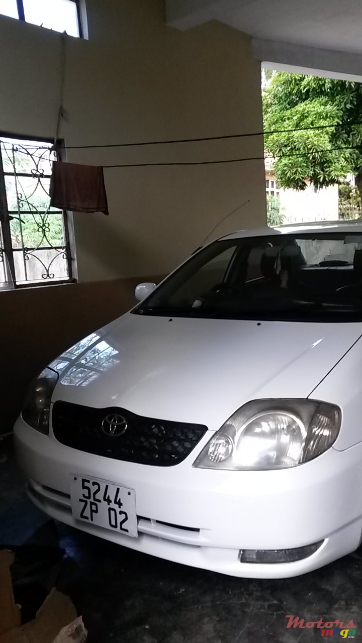 2002' Toyota Corolla photo #1
