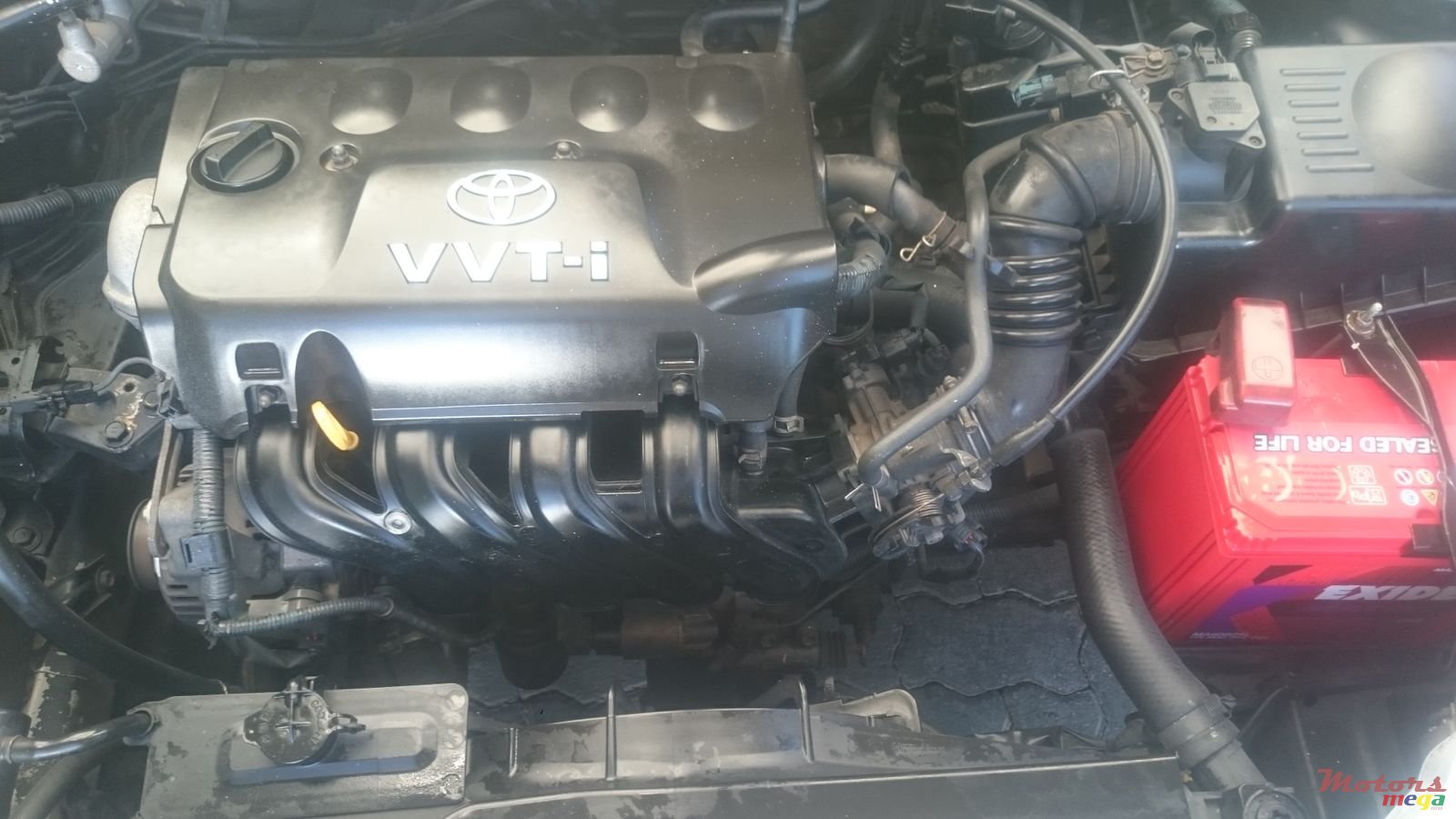 2000' Toyota Corolla NZE photo #6